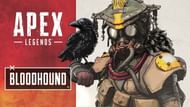 Bloodhound is a great character to duo with Revenant in Apex Legends Season 24 (Image via EA)